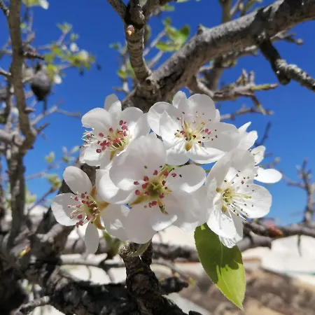 Forever Sao Bras بيت ضيافة