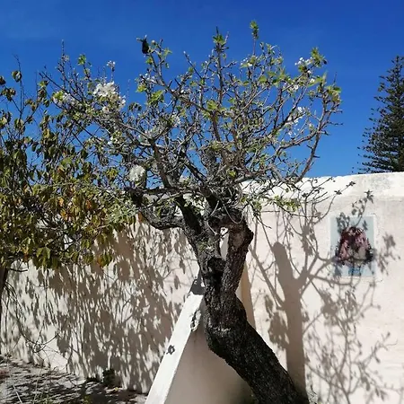 Pensionat Forever Sao Bras São Brás de Alportel