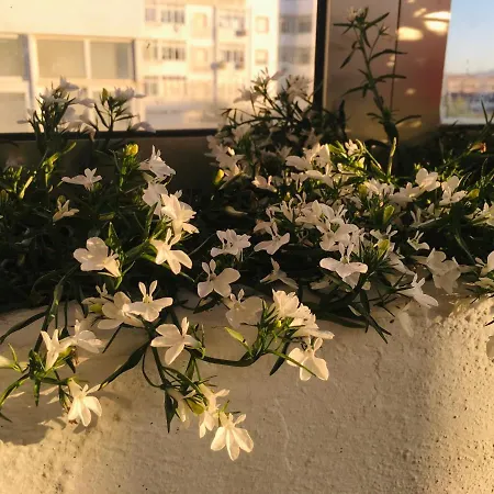 Forever São Brás Affittacamere São Brás de Alportel