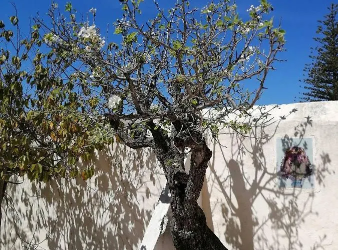 Vendégház Forever Sao Bras São Brás de Alportel