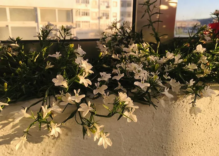 Forever São Brás Pensión São Brás de Alportel