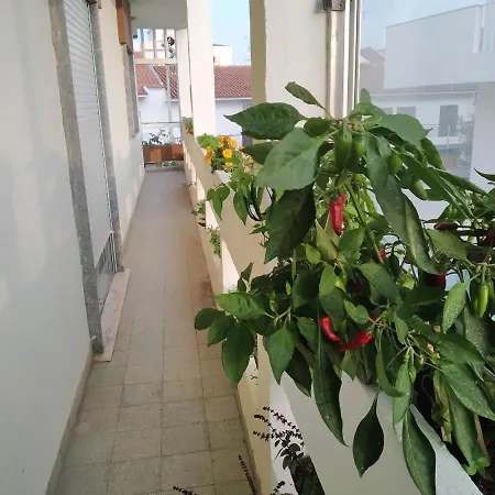 Forever Sao Bras Penzion São Brás de Alportel